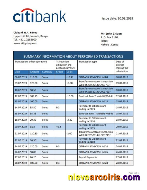 Kenya Citibank bank statement